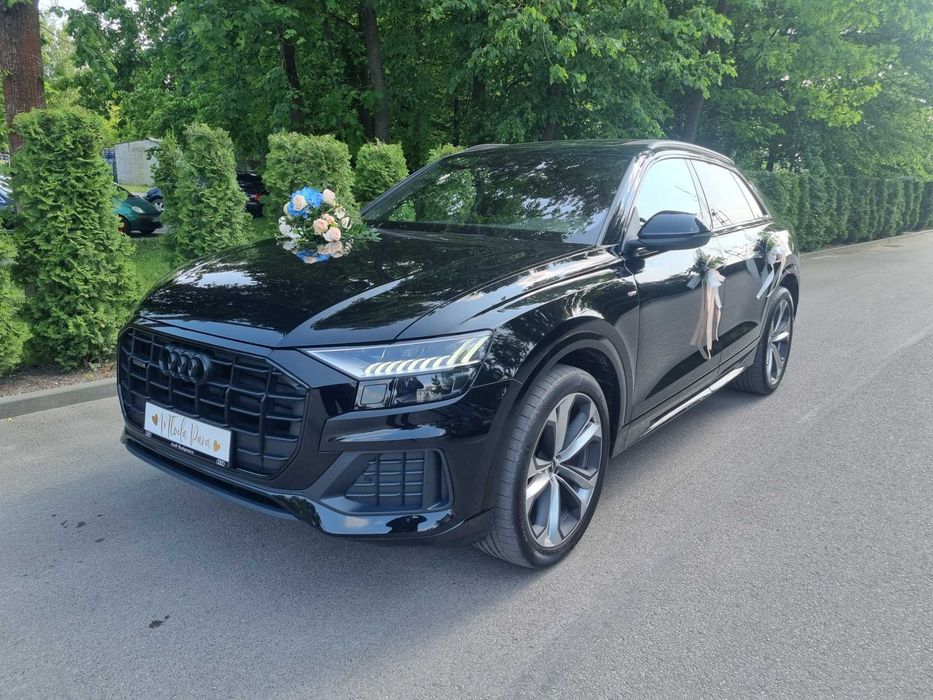 Wypożycz busa Renault Trafic  9-osób -Wynajem do wynajęcia (wynajmę)