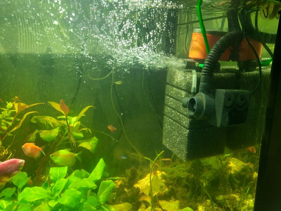 аквариум прямоугольный, 200 литров. (Природа)