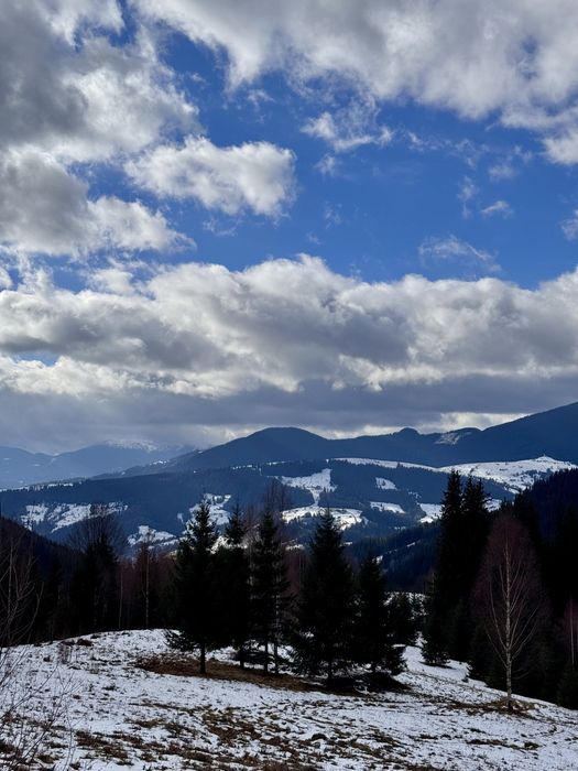 Земля 3,64 га у Карпатах, вид на Чорногірський хребет, під будівництво