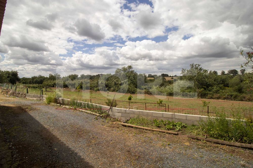 Herdade em Alvito - a 50 min Alqueva