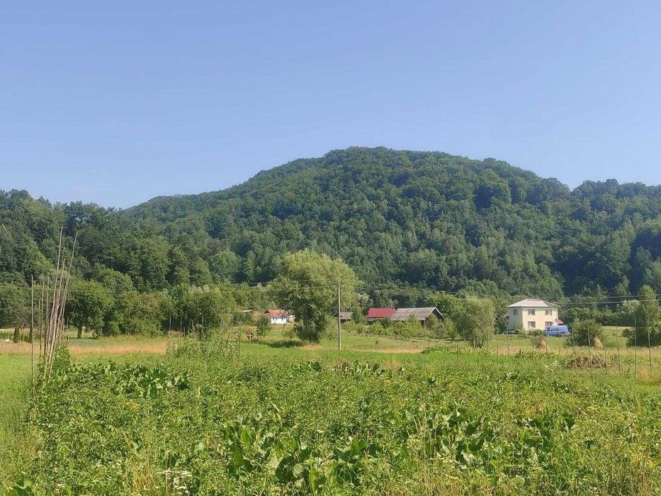 Продаж будинку в Карпатах у с. Люча