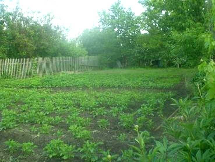 Продаю участок -дачу с. Барабои, кооператив "Альф"