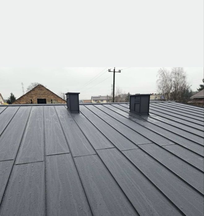 Uslugi Dekarskie. Dekarz, Dach