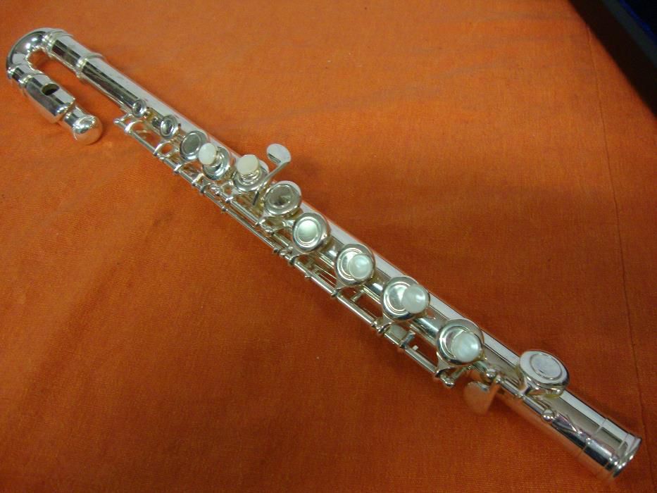 Transverse Flute, Subito.. No. 264175818772099121