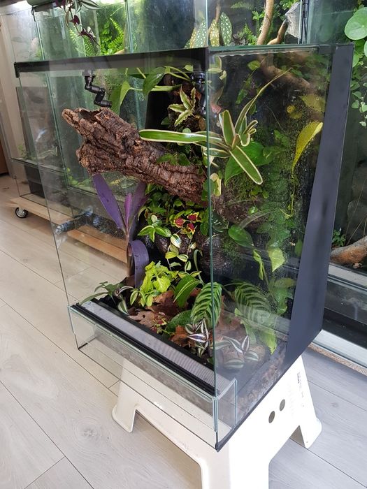 Terrarium 40x40x60 gekon