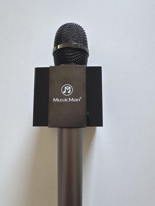 Mikrofon karaoke
