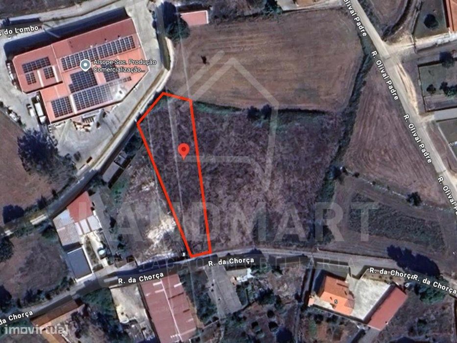 Terreno, Charneca do Casal do Guerra - Benedita — Benedita, Leiria