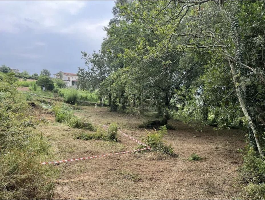 Terreno Rustico para venda