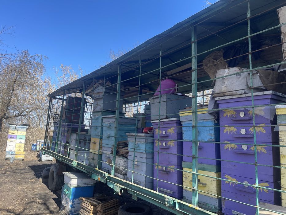 Продам пасеку улья прицеп