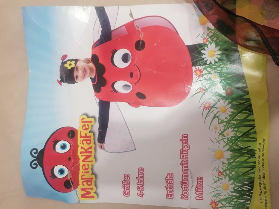 Strój karnawałowy biedronka