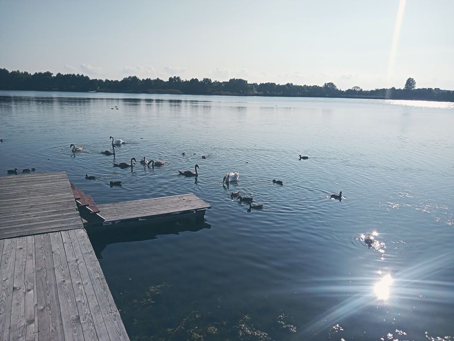 Domek nad samym jeziorem Kaszuby wolne terminy pole namiotowe
