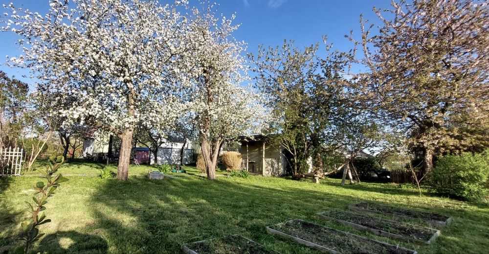 Działka ROD Centralny Koszalin - Widok 3