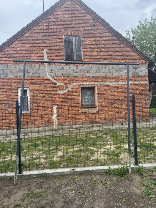 Trzepak ogrodowy grafit