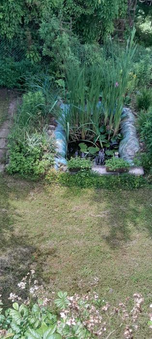 Sprzedam działkę ogródek działkowy w Szczecin Bukowe - Więcej