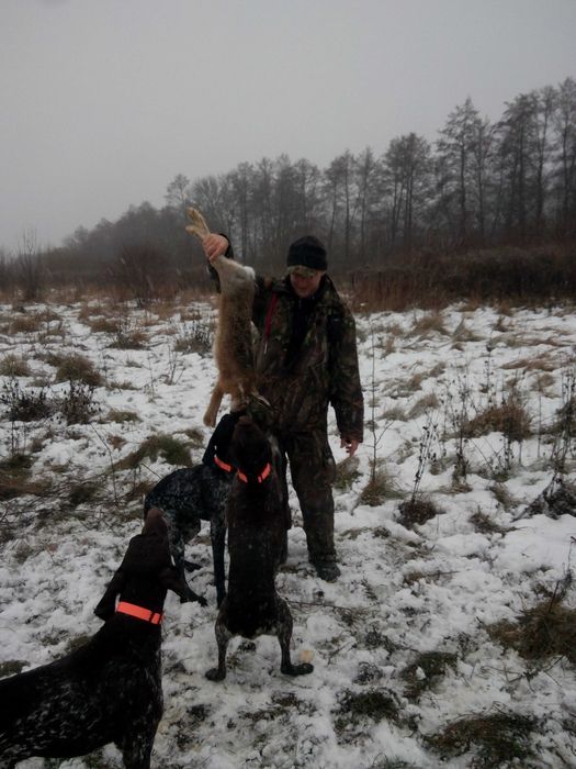 Курцхаар для вязки