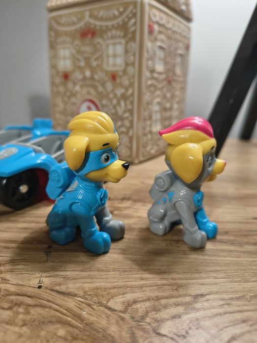 Bliźniaki psi patrol paw patrol kosmopieski Ella tuck