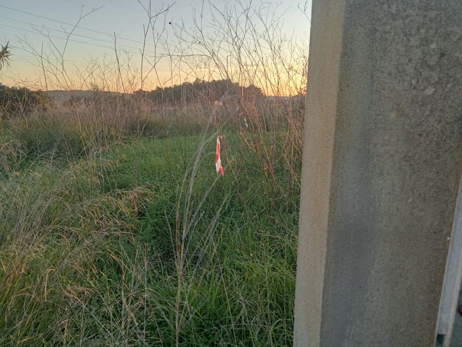 Limpeza de terrenos e corte de arvores e entre outras
