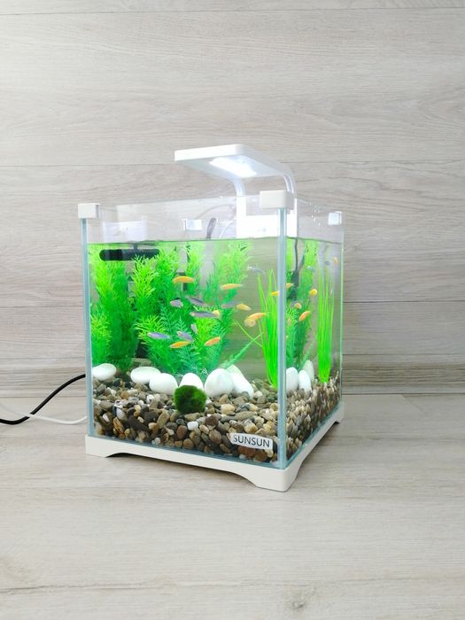 Акваріумний комплект з рибками 10л | Все включено | Доставка по Києву
