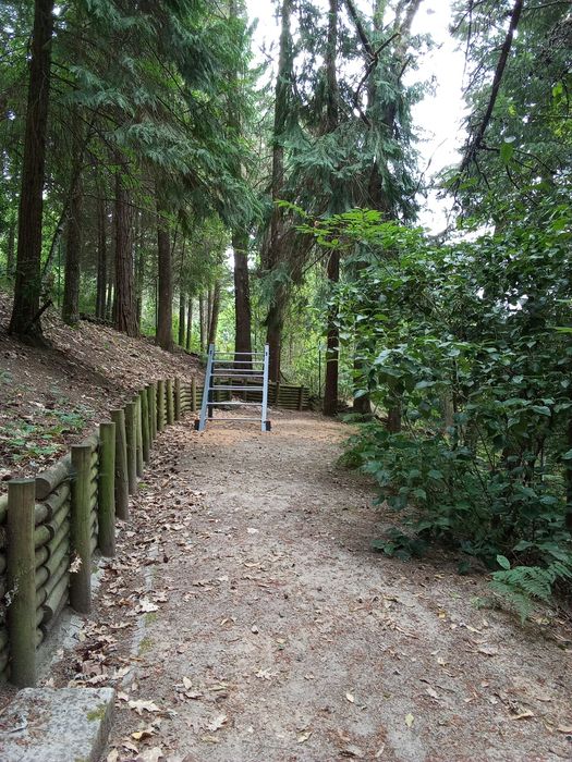 Serviços para todas pequenas reparações em casas jardim limpezas etc!