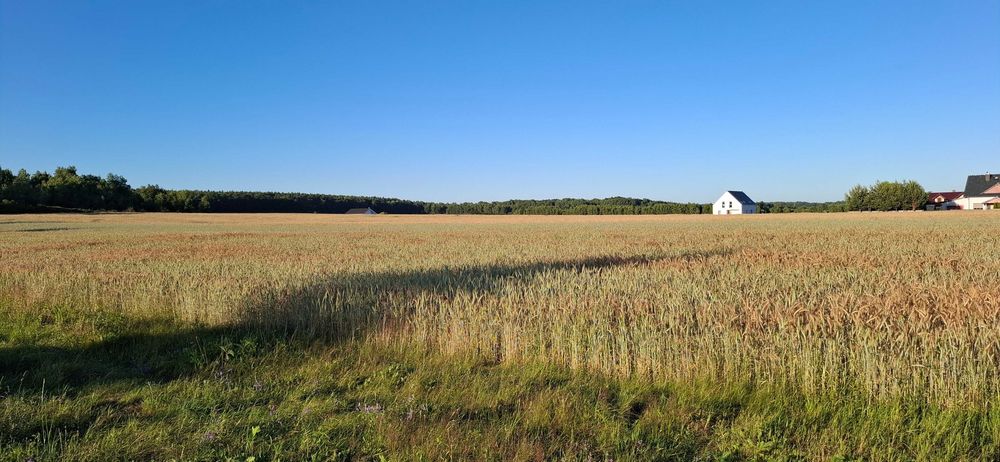 1300 m2 Grzymalin