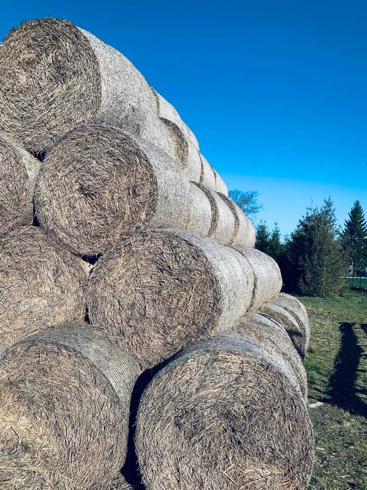 Słoma w belach z lata 2025 r.