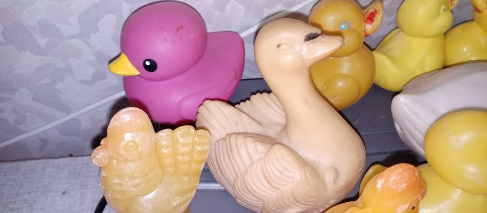 Птицы: Уточки, утки, цыплята, петушок, лебедь из Ссср