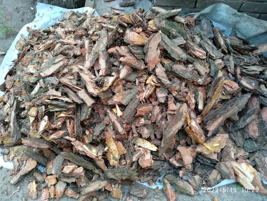 Кора сосны чистая