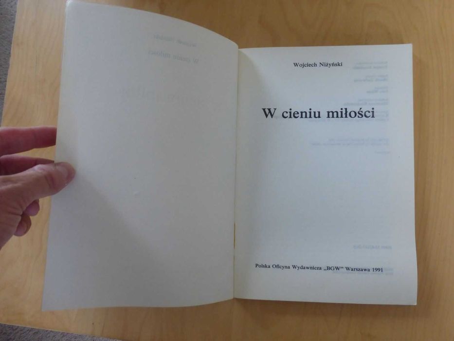 W cieniu miłości. Wojciech Niżyński W labiryncie serial tv