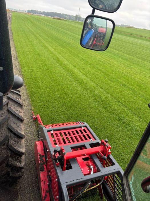 Trawa z rolki trawnik w rolce producent