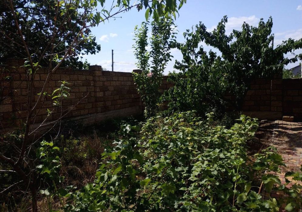 Дом по адресу ул. Экономичная (площадь 191,5 м²) - Atlanta.ua - фото 5