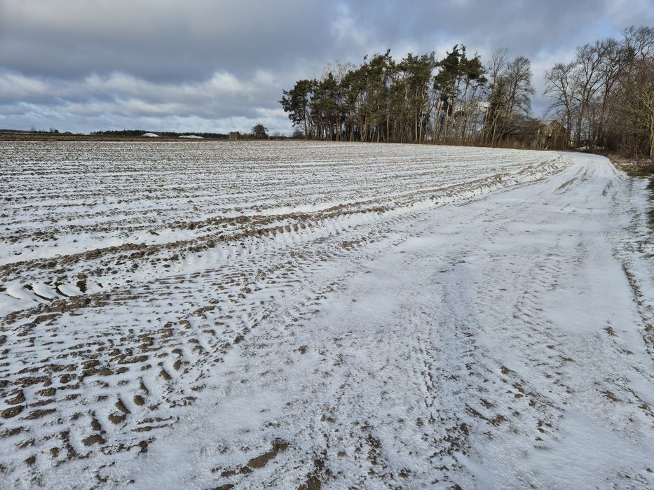 Działki rolno-budowlane  z warunkami zabudowy