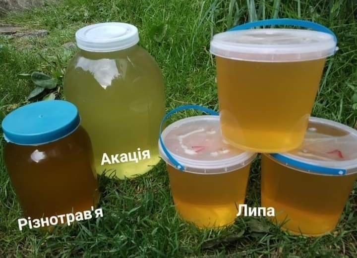 Мед з власної пасіки