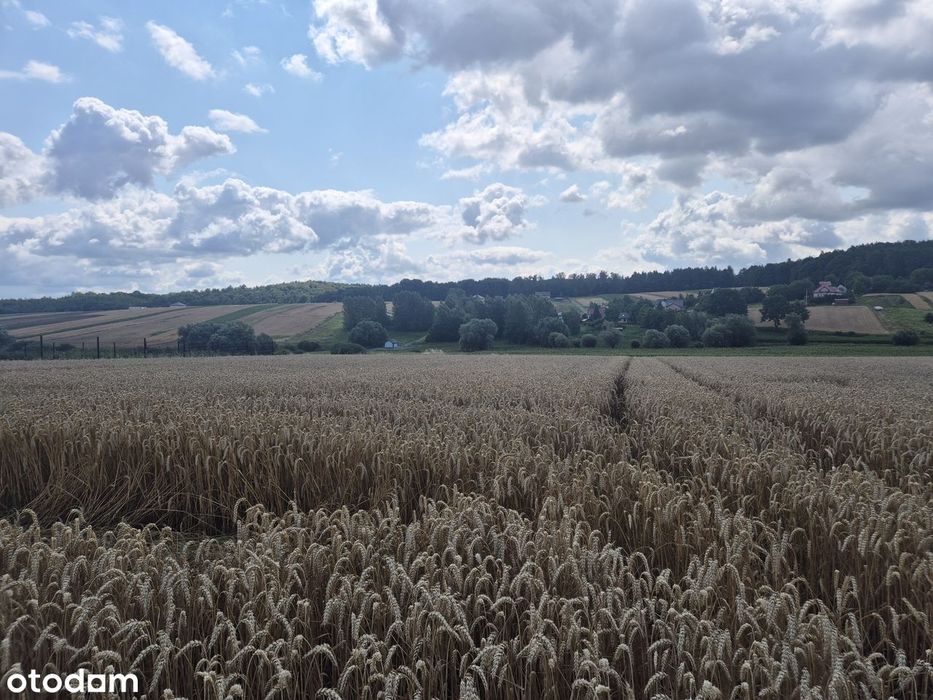 Piękna działka z widokiem na las - 8arów, ładne wymiary.