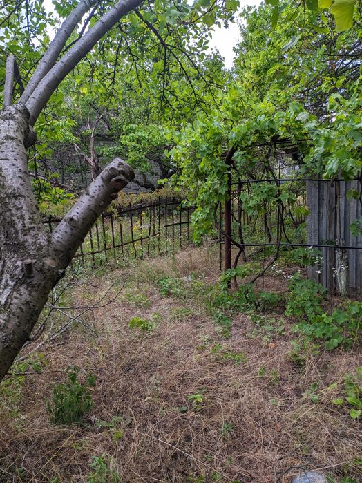 Продам дачну ділянку