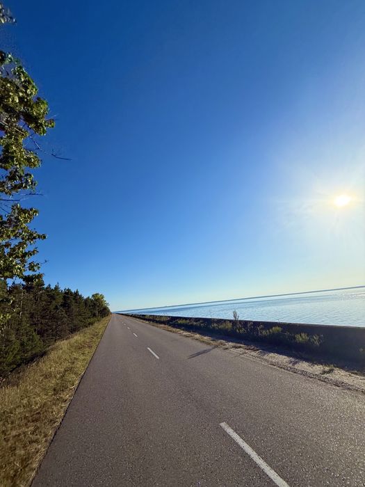 10 сот біля рибного каналу 250м поряд ліс та київське море терміново