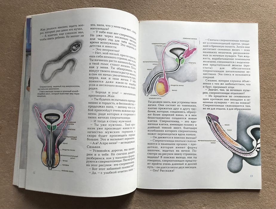 Догги стиліндегі семіз әйелдердің фотосуреттері