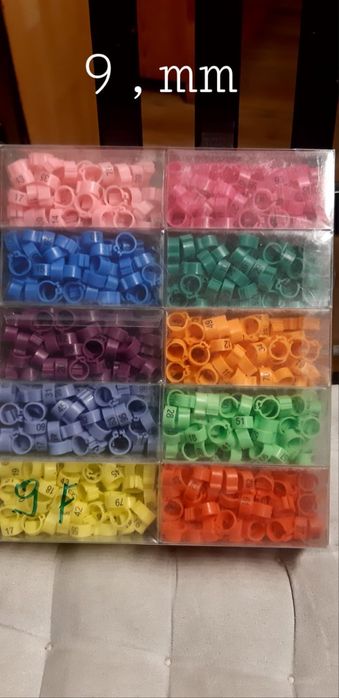 Obraczki ,golebie ,rasowe ,mewki,pawiki 26r