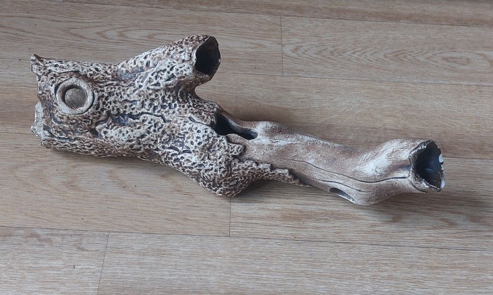 Мангровые коряги