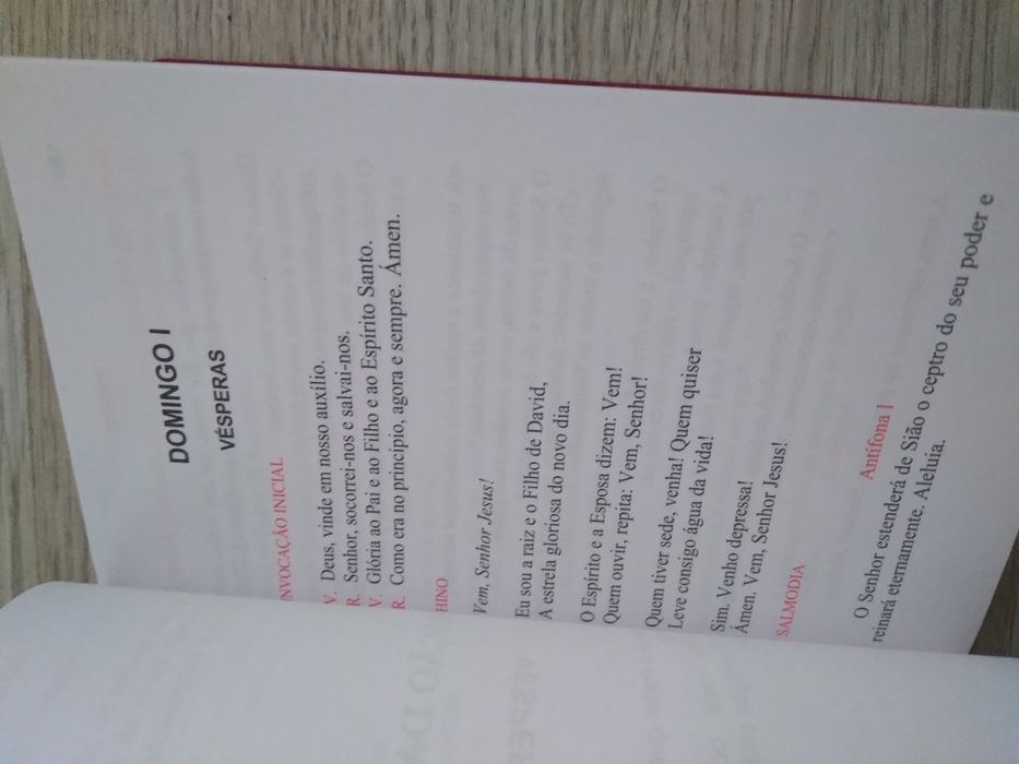 Rezar com a Igreja.  Liturgia das horas abreviada