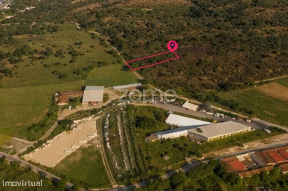 Land Plot in Cantanhede