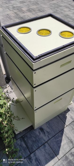 Ule pszczele wielkopolski. XPS 700