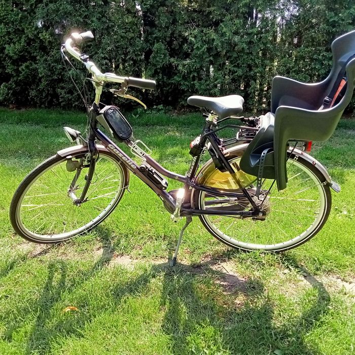 Rower gazelle używany