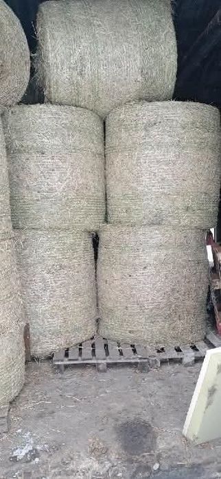 Sianokiszonka 2025r siano