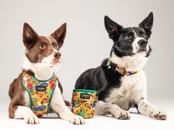 Hydrofobowa obroża regulowana dla psa - Chaba Story Jumbo Rozmiar XL