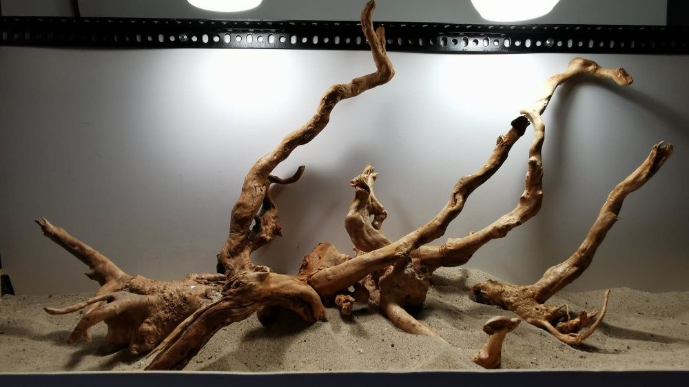 Pokrywa Diversa Aristo 80x35 LED Sklep Akwarystyczny Turkusowe Zoo