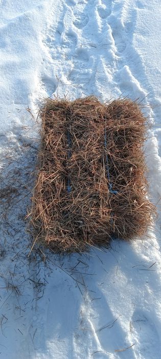 Продам сіно в тюках 60-75 грн тюк с. Соснівка