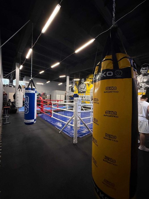 Sala treningowa na godziny/Boks/MMA/Kikboxing/Karate/Fitness 250m2