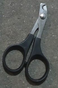 Tesoura para gato ou cão pequeno