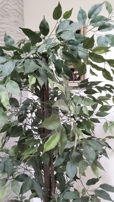 Planta artificial de Ficus