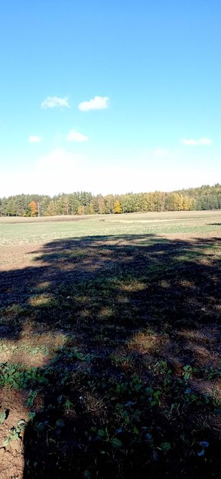 10,52 ha TUZ - łąki/pastwiska - jeden kawałek - dopłaty - gmina Kiwity